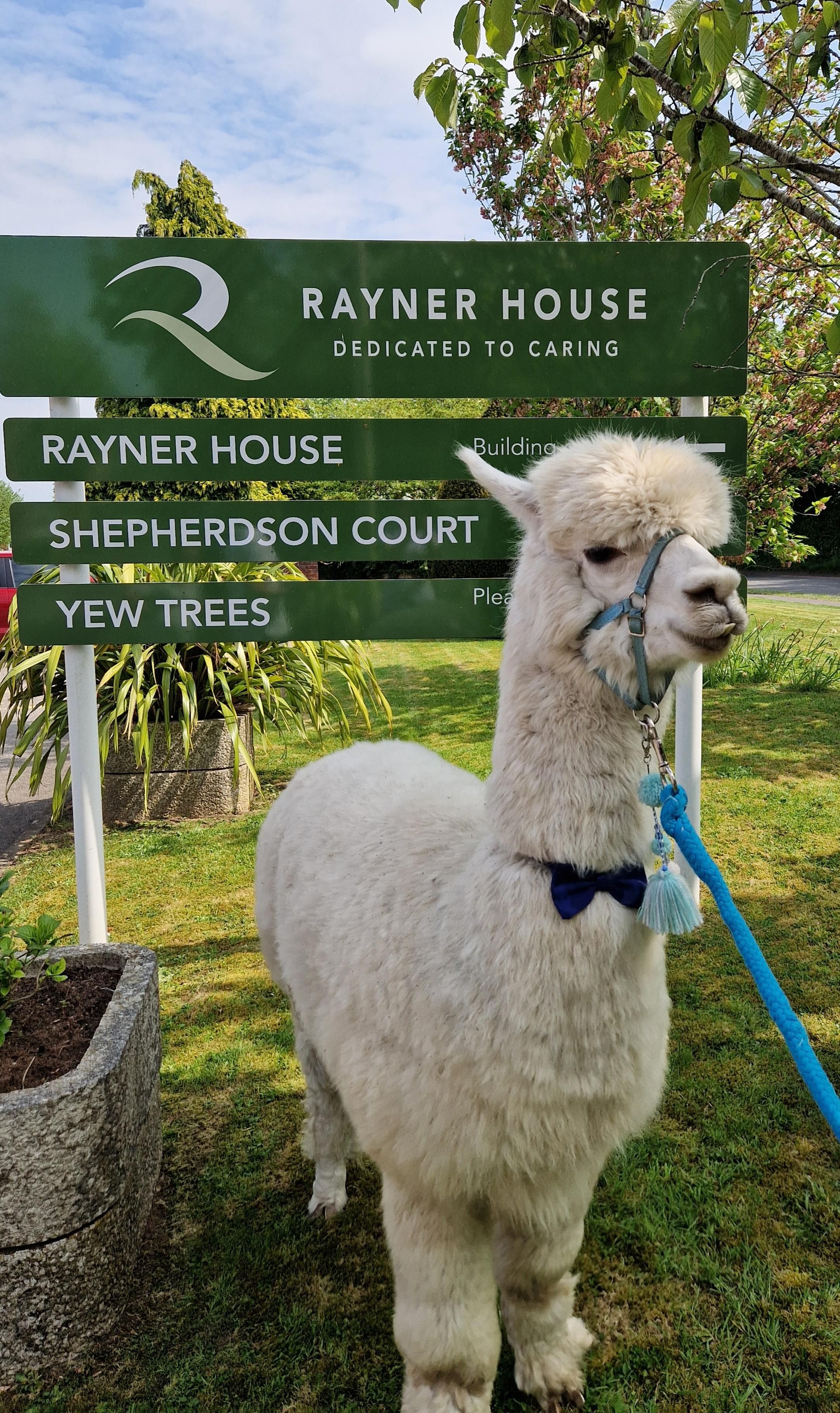 Rayner House in Solihull 
