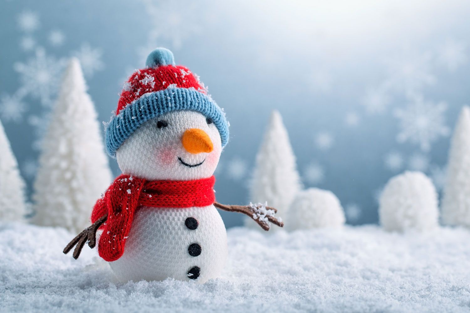 Rayner House in Solihull - Summer BBQ