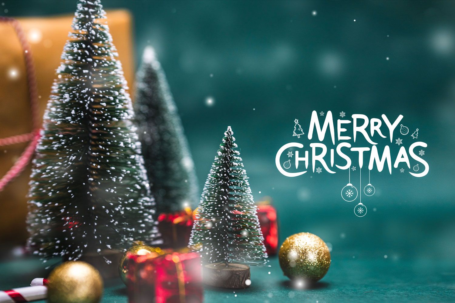 Rayner House in Solihull - Summer BBQ